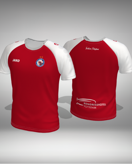 Bundesliga Auswärtstrikot 2025/26
