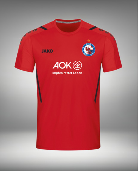 Bundesliga Auswärtstrikot 2022/23